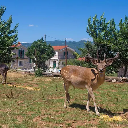 6 Bedroom Lovely In Dicmo Osoje Hébergement de vacances